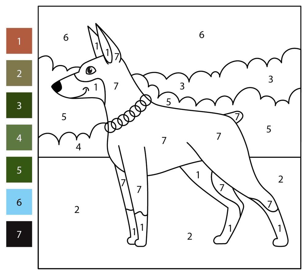 Dobermann Color By Number Coloring Page Md Coloring Page — Free Printable — free printable coloring page